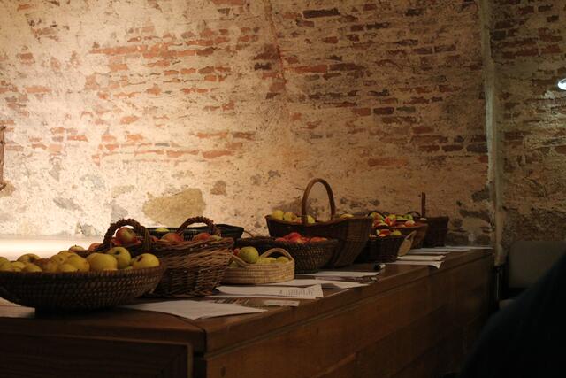 Die Äpfel, welche zur Verkostung zur Verfügung standen | Foto: Jennifer Flechl