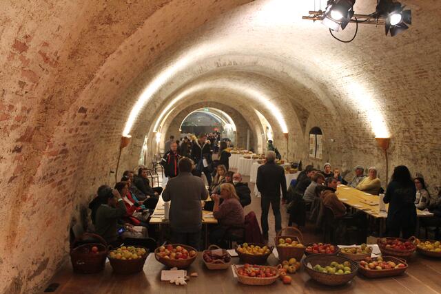 Apfelverkostung &amp; Ausstellung im Lutherkeller | Foto: Jennifer Flechl