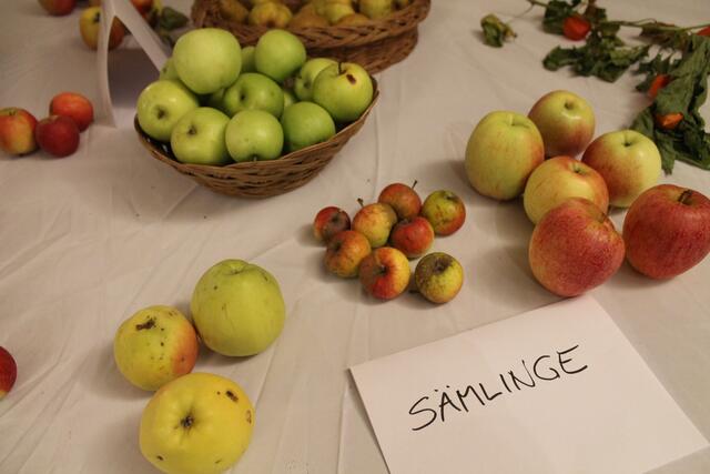 Foto: Jennifer Flechl