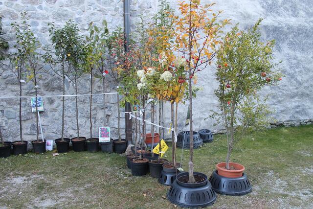 Foto: Jennifer Flechl