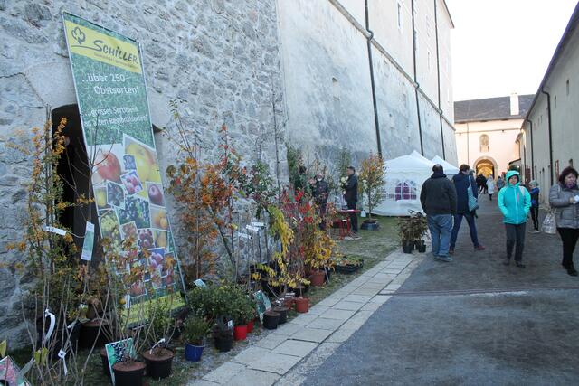 Foto: Jennifer Flechl