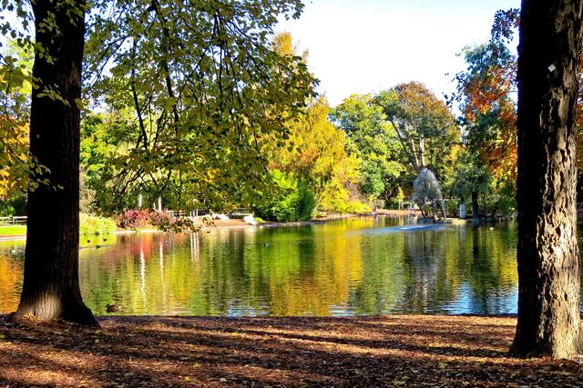 Der große Teich mit dem Springbrunnen ist Heimat zahlreicher Wasservögel
