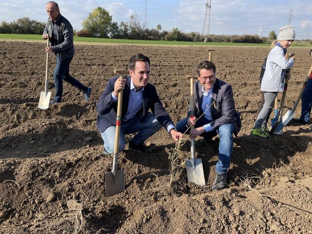 Bildungsstadtrat Christoph Wiederkehr (l, Neos) und Klimastadtrat Jürgen Czernohorsky (SPÖ) pflanzten fleißig mit. | Foto: Karl Pufler