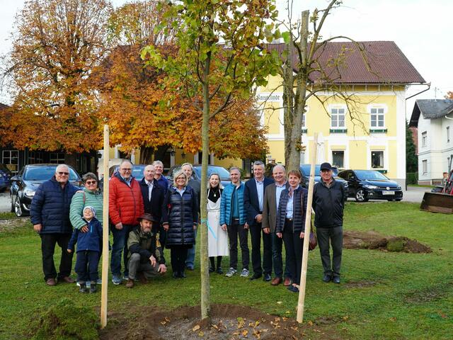 Verein KiP spendet Familie Stranzinger eine neue Linde | Foto: Innvideo.at/Butter