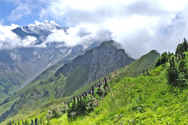 Ein wahres Kultur- und Naturjuwel feiert Geburtstag: Der Nationalpark Hohe Tauern wird 50.