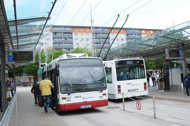 Das Edelweißticket ist eine Jahreskarte für die Nutzung der öffentlichen Verkehrsmittel in ganz Salzburg. | Foto: Regionalmedien Salzburg 