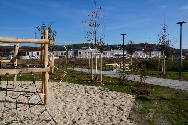 Im neuen Park wurden 80 Bäume und Sträucher gepflanzt, auch eine Fitnessmeile gibt es. | Foto: Almer