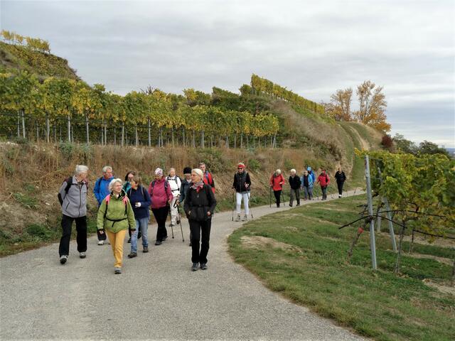 Foto: ÖTK Klosterneuburg
