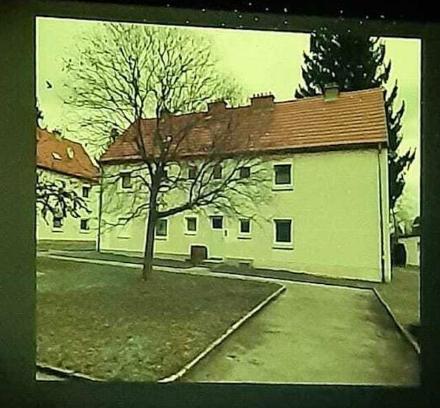 Die Wienerfeld-Siedlung. | Foto: Lea Bacher