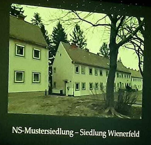 Die NS-Mustersiedlung Wienerfeld | Foto: Lea Bacher