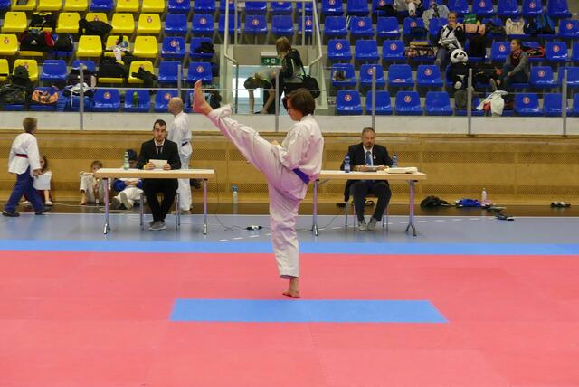 Michael Stach mit Ap-Chagi (Front-Kick) in der Poosmae Sam-Jang