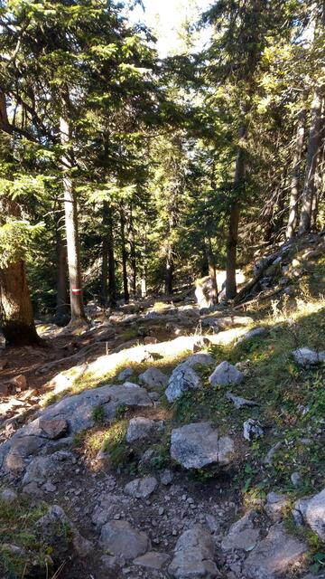 Foto: Christian Pendl