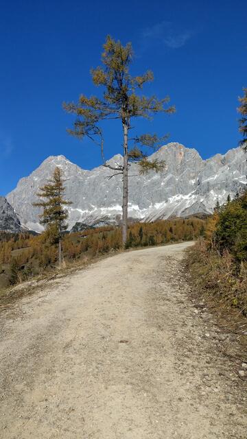 Foto: Christian Pendl