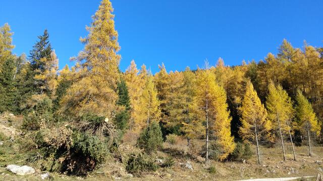 Foto: Christian Pendl