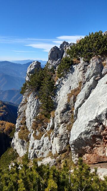 Foto: Christian Pendl