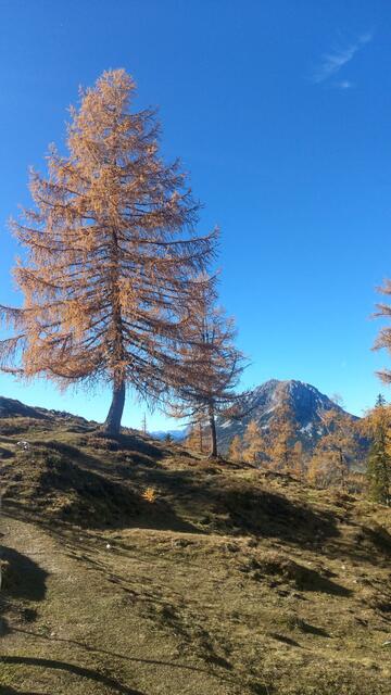 Foto: Christian Pendl