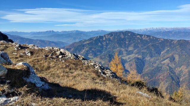 Foto: Christian Pendl