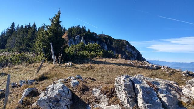 Foto: Christian Pendl