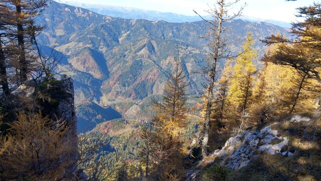 Foto: Christian Pendl