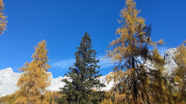 Foto: Christian Pendl