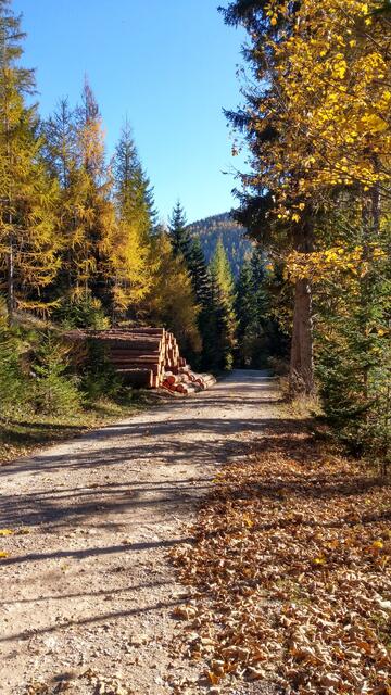 Foto: Christian Pendl