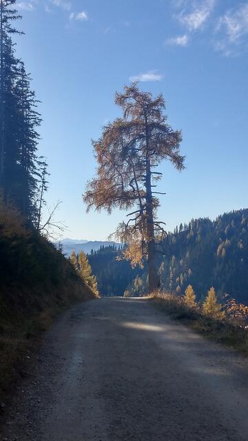 Foto: Christian Pendl