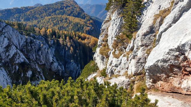 Foto: Christian Pendl