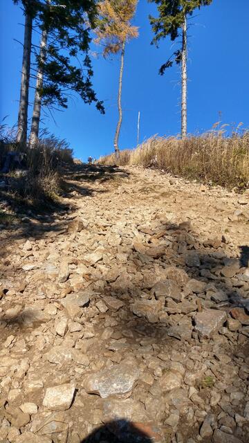 Foto: Christian Pendl