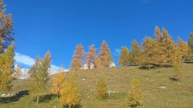 Foto: Christian Pendl