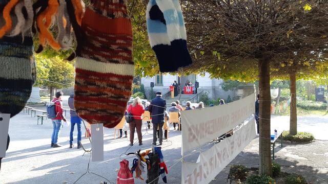 Die selbstgestrickten Socken wurden dekorativ auch in Bäumen präsentiert. | Foto: Christian Buchar
