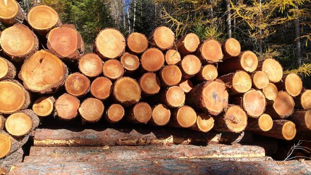 Foto: Christian Pendl