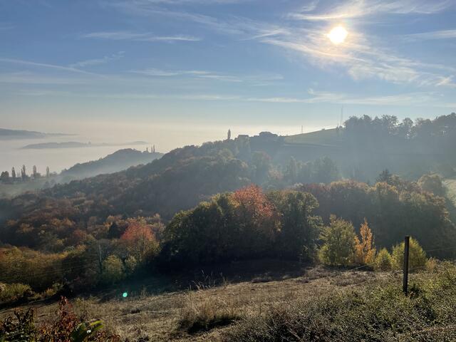 Auch Ende Oktober präsentiert sich die Südsteiermark noch im traumhafte Farben- und Nebelkleid. | Foto: Waltraud Fischer
