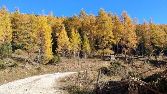 Foto: Christian Pendl