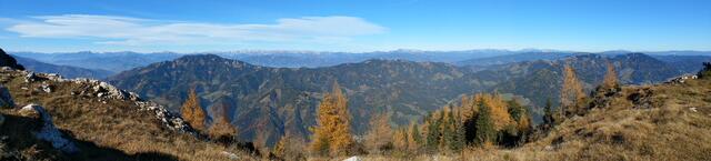 Foto: Christian Pendl