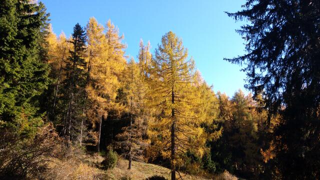 Foto: Christian Pendl