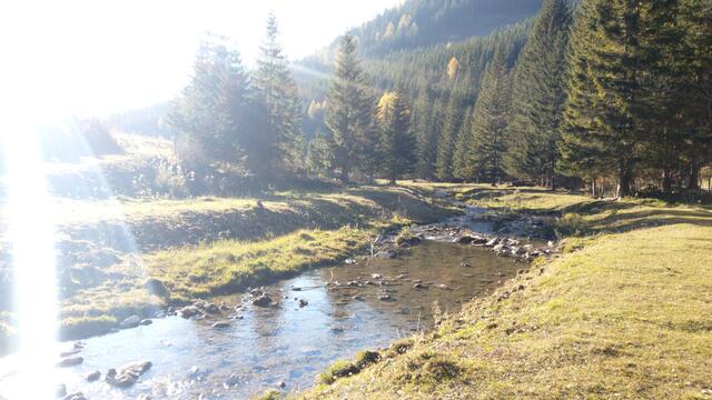 Foto: Christian Pendl