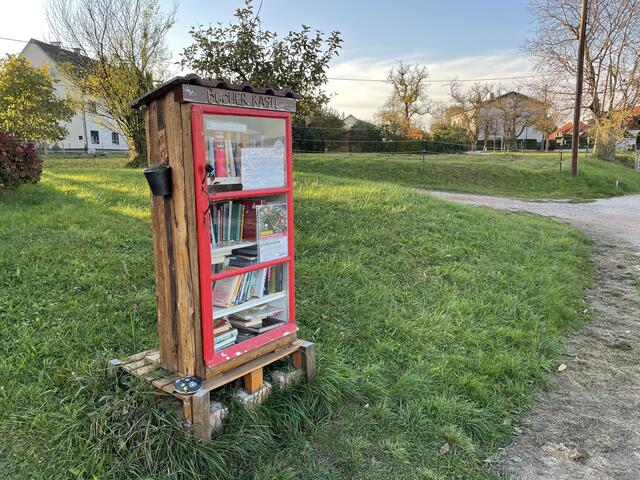 In der Traundorfer Straße in Pichling steht dieses "Bücherkastl". | Foto: BRS/Diabl