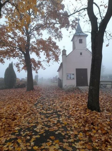 Foto: Katharina Dowas
