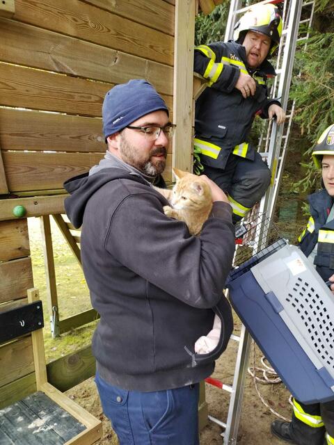 Diego konnte selbstständig nicht mehr herunter und musste gerettet werden. | Foto: FFFrankenburg
