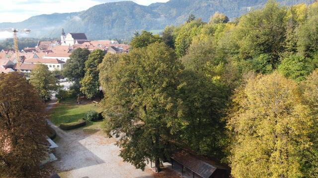 Foto: Stadtgemeinde