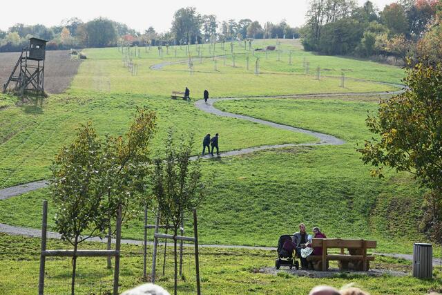 Lädt zum Spazieren und bald auch zum Verkosten ein: Das neue Naherholungsgebiet in Wiesen | Foto: Marktgemeinde Wiesen
