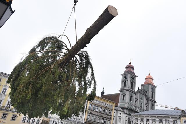 2019 zierte eine 20 Meter hohe Fichte aus dem Bezirk Freistadt den Hauptplatz. | Foto: Stadt Linz (Archiv)