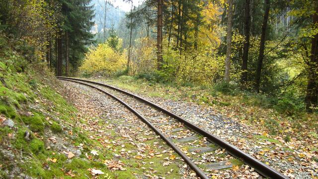 Eine Strecke, die durch eine so herrliche Landschaft führt, muss doch unbedingt erhalten bleiben.
