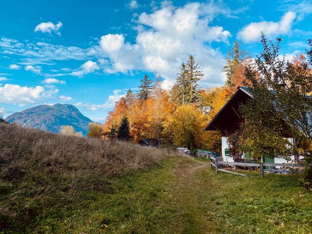 Herbstliches Farbenspiel auf der Niederrad-Alm.