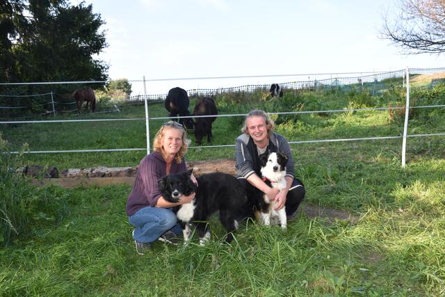 Carina Schkotowa mit ihrem ältesten Sohn Philipp und dessen Hunden. Im Hintergrund das Pferd und die Ponys.
