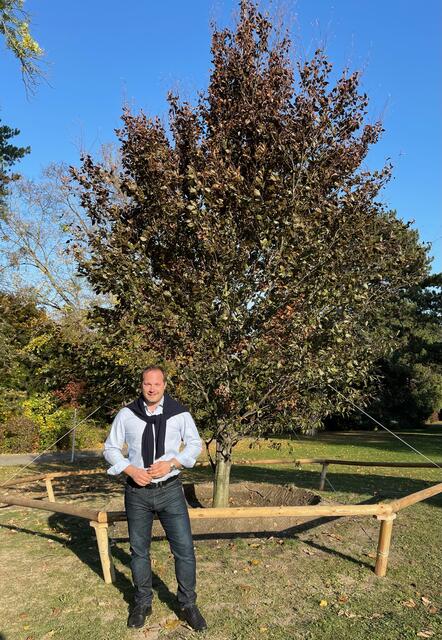 Daniel Resch steht vor der Neupflanzung im Wertheimsteinpark. | Foto: BV19/Martinuzzi