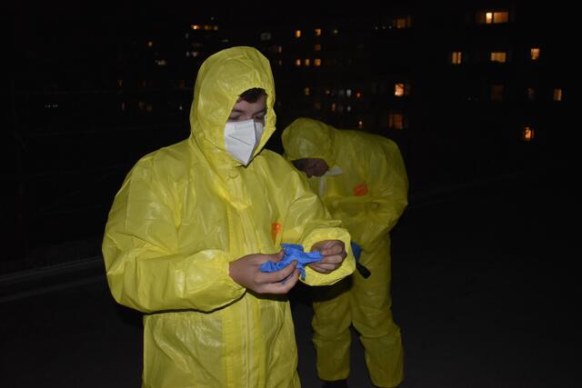 Ein Arbeiter hatte eine vermeintliche Schlange in einem Dachboden eines Mehrparteienhauses in Kleinmünchen gesichtet. | Foto: Tierrettung Icara