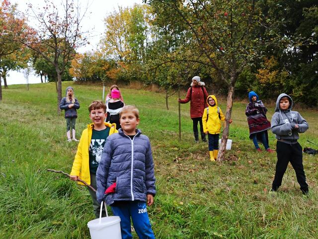 Foto: Volksschule Lockenhaus