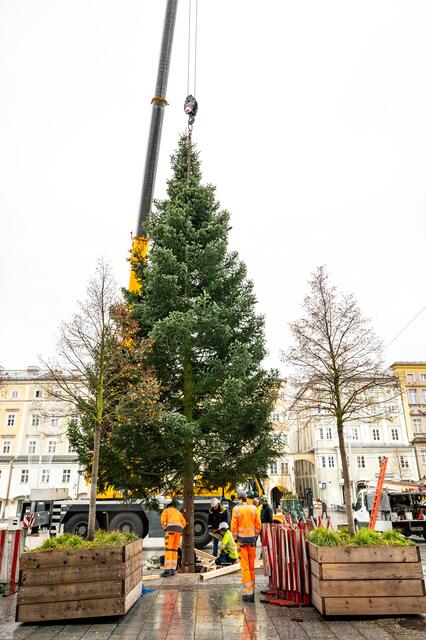 Foto: fotokerschi.at