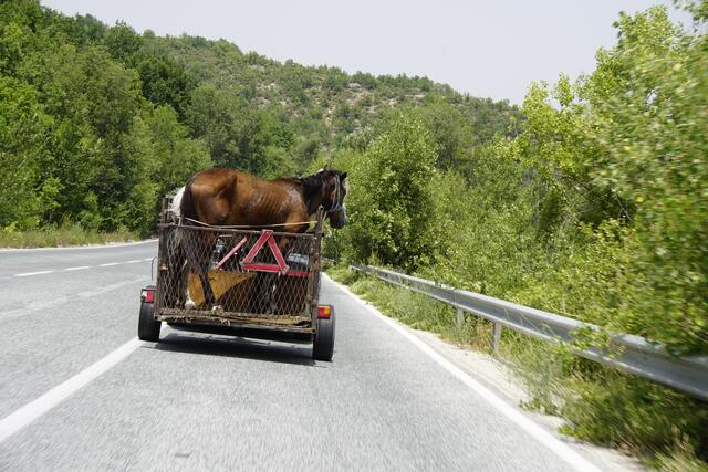 Foto: Huber / Samuel Ramsauer